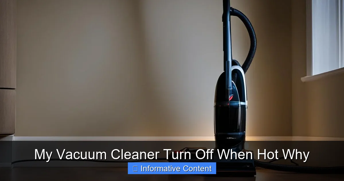 My Vacuum Cleaner Turn Off When Hot Why