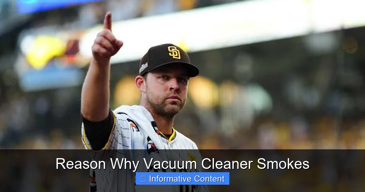 Reason Why Vacuum Cleaner Smokes
