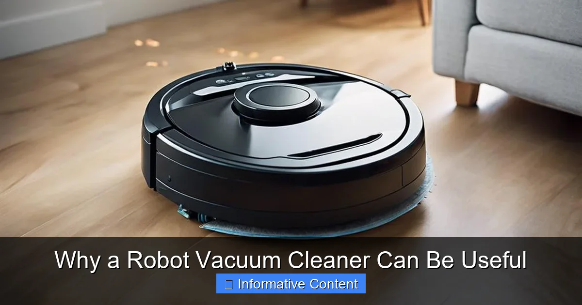 Why a Robot Vacuum Cleaner Can Be Useful