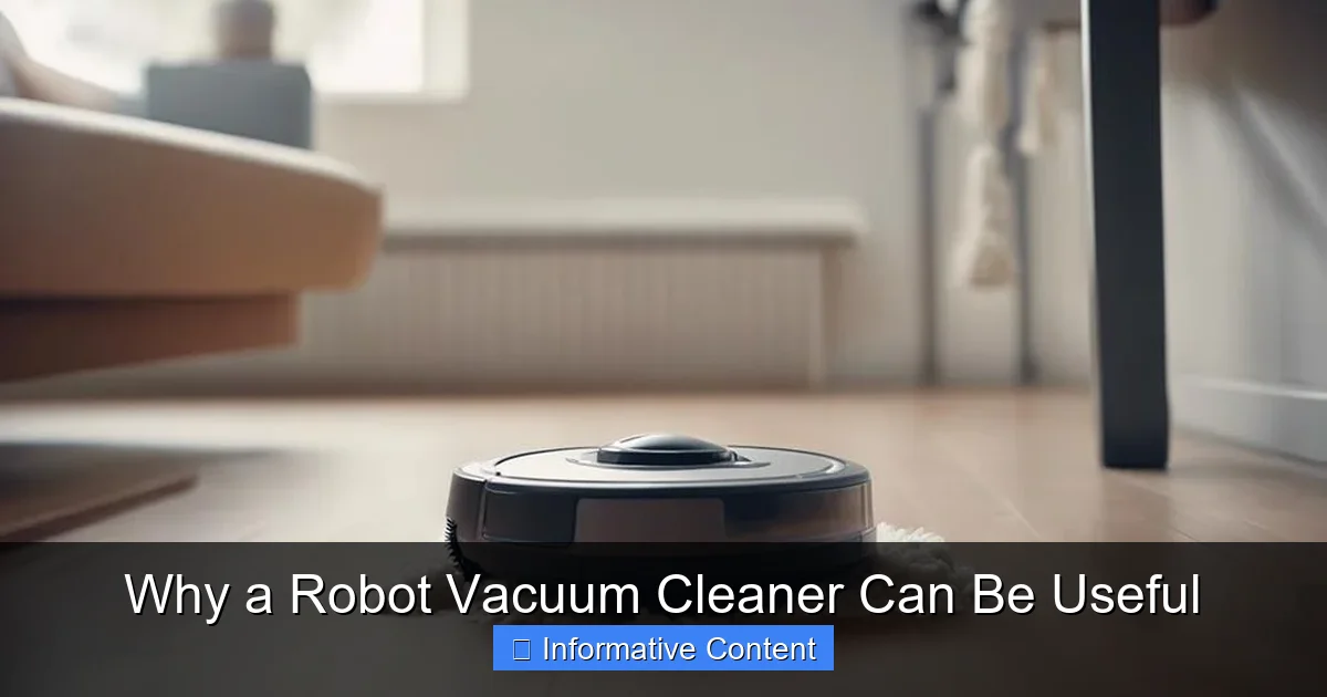 Why a Robot Vacuum Cleaner Can Be Useful