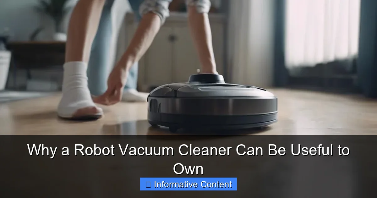 Why a Robot Vacuum Cleaner Can Be Useful to Own