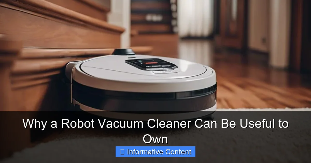 Why a Robot Vacuum Cleaner Can Be Useful to Own
