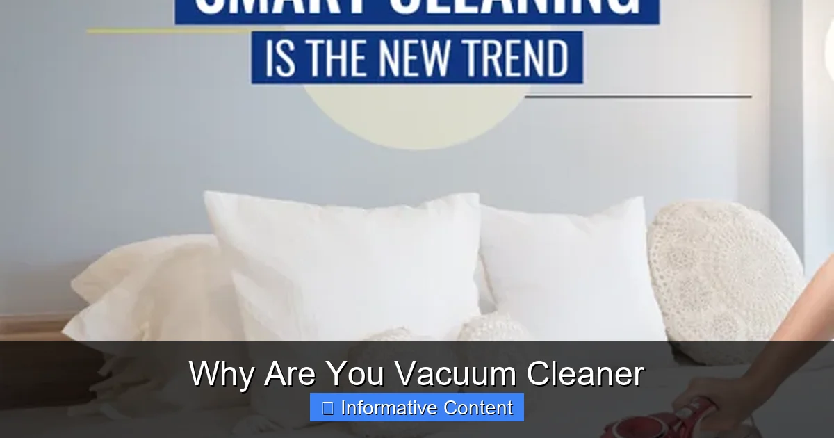 Why Are You Vacuum Cleaner