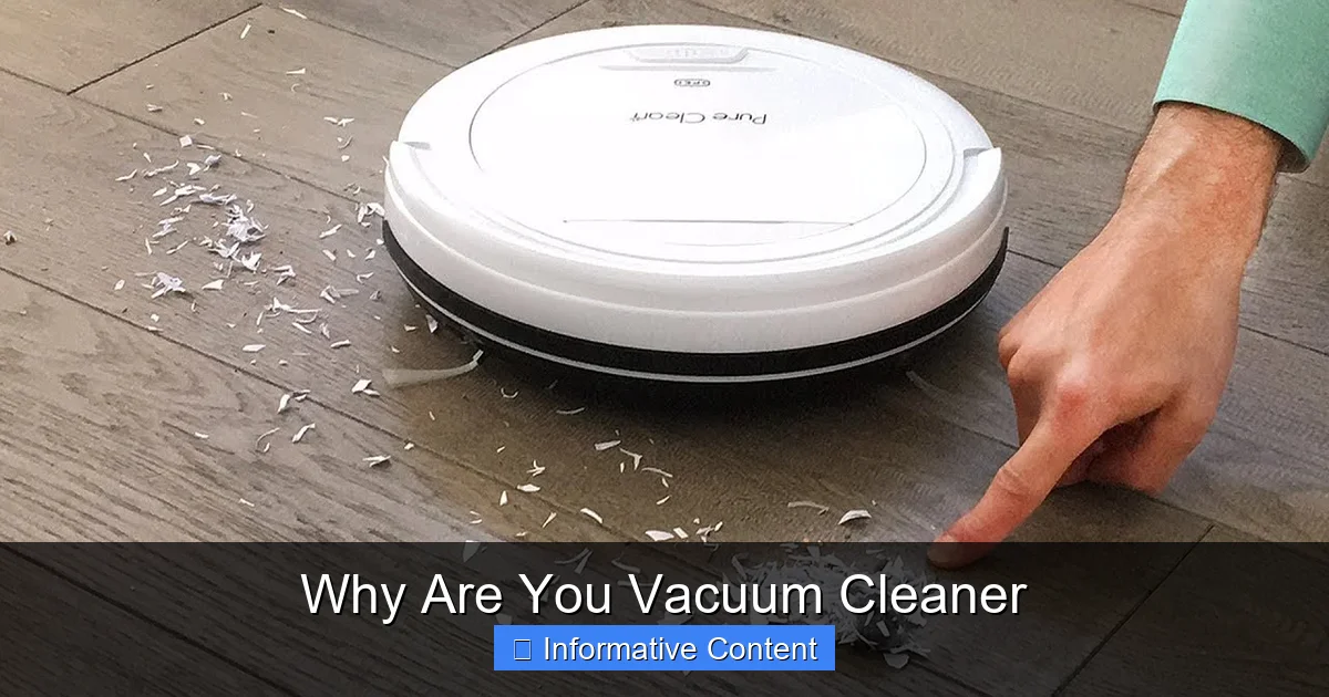 Why Are You Vacuum Cleaner