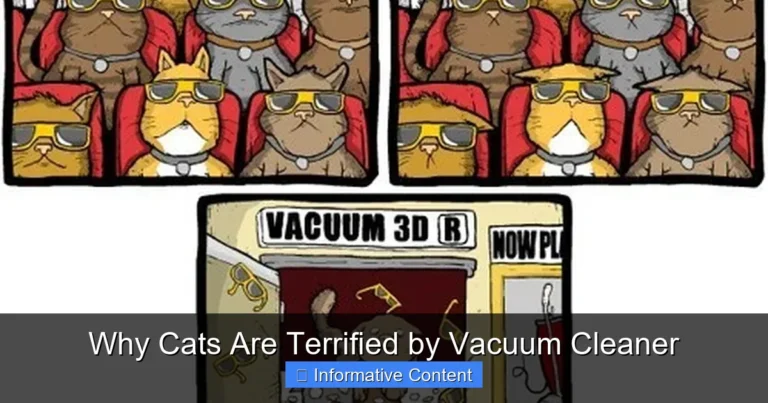 Why Cats Are Terrified by Vacuum Cleaner