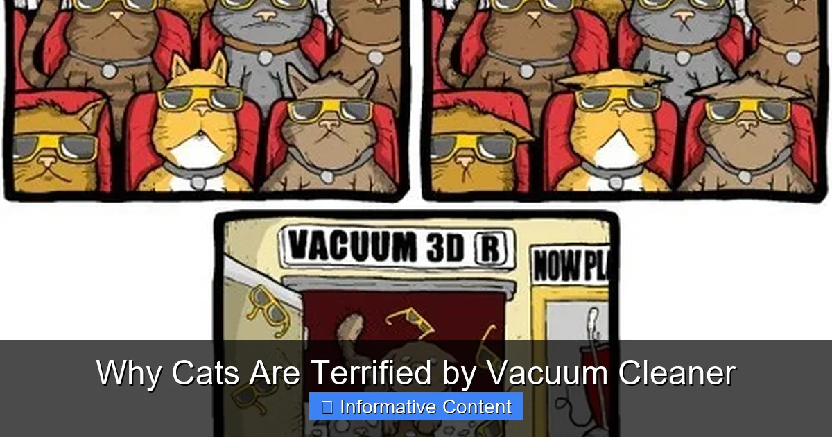Why Cats Are Terrified by Vacuum Cleaner