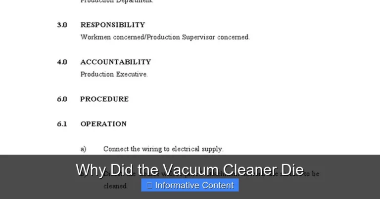 Why Did the Vacuum Cleaner Die