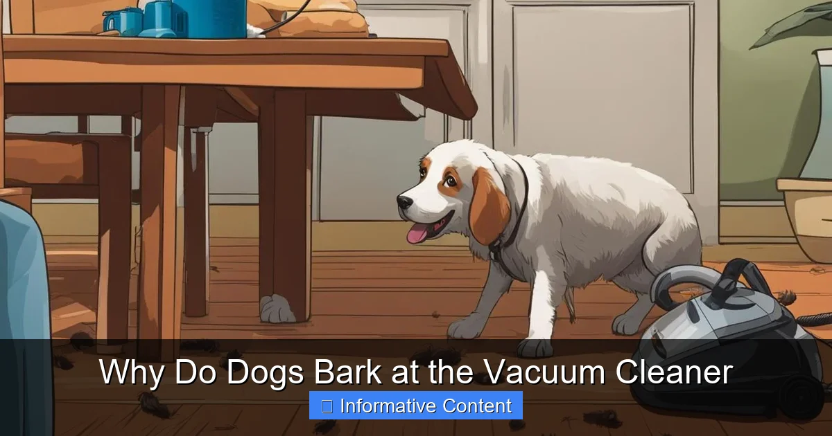 Why Do Dogs Bark at the Vacuum Cleaner