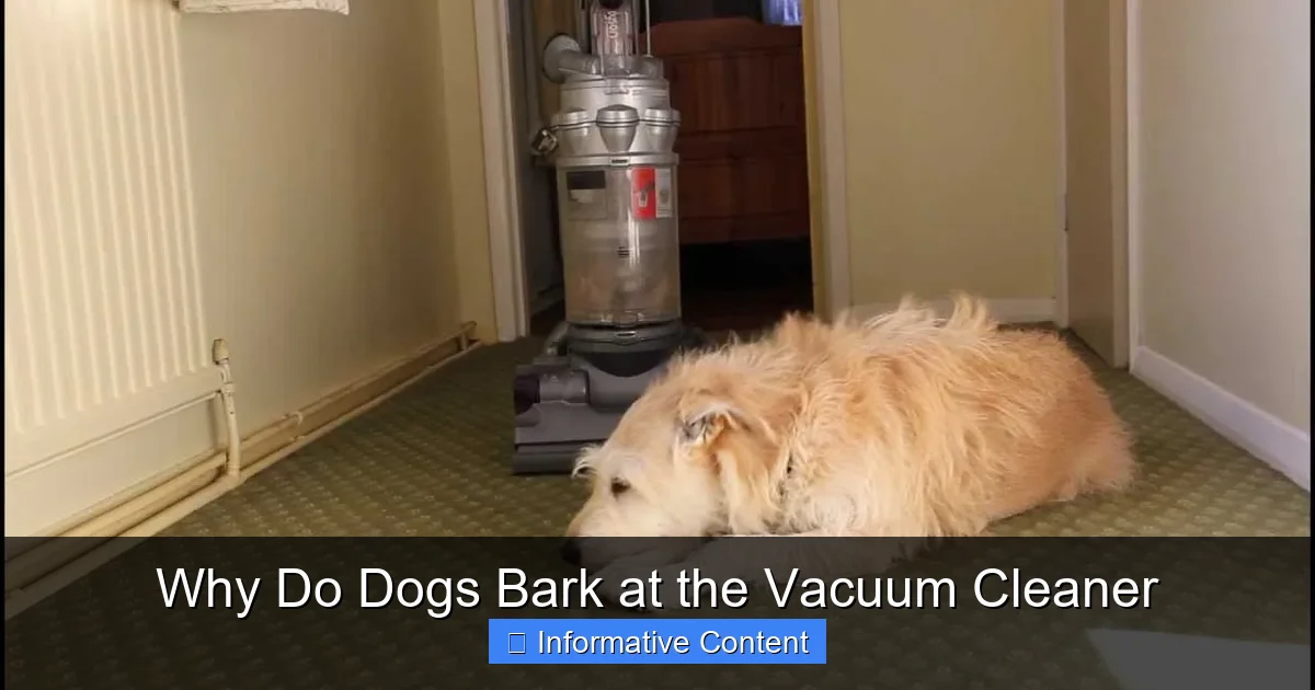 Why Do Dogs Bark at the Vacuum Cleaner