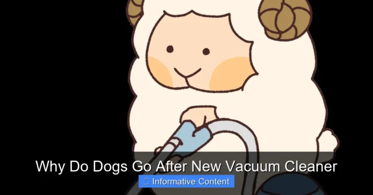 Why Do Dogs Go After New Vacuum Cleaner