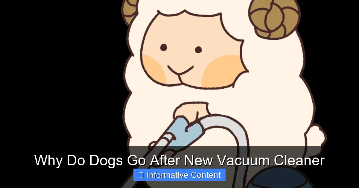 Why Do Dogs Go After New Vacuum Cleaner