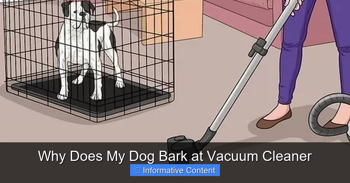 Why Does My Dog Bark at Vacuum Cleaner
