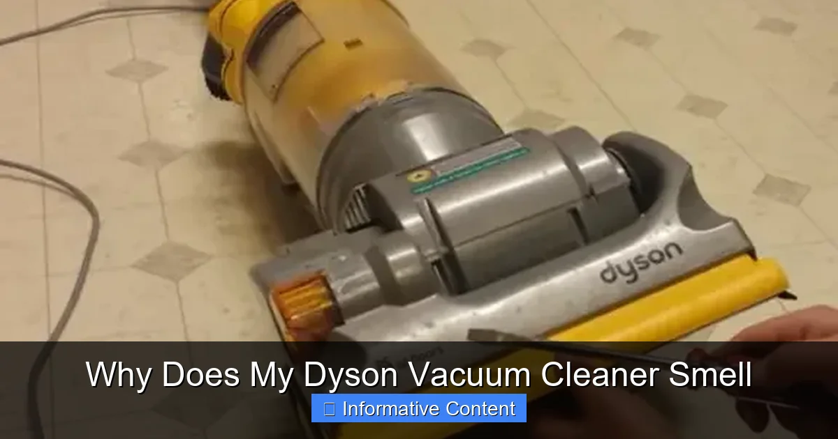 Why Does My Dyson Vacuum Cleaner Smell