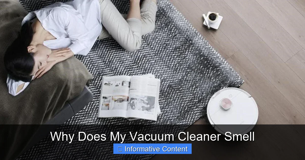 Why Does My Vacuum Cleaner Smell