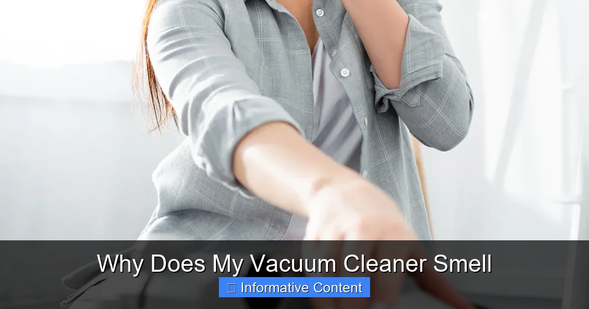 Why Does My Vacuum Cleaner Smell