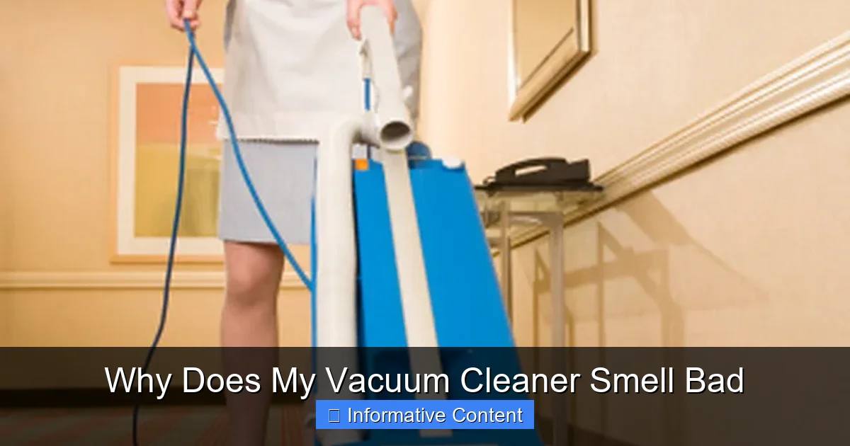 Why Does My Vacuum Cleaner Smell Bad