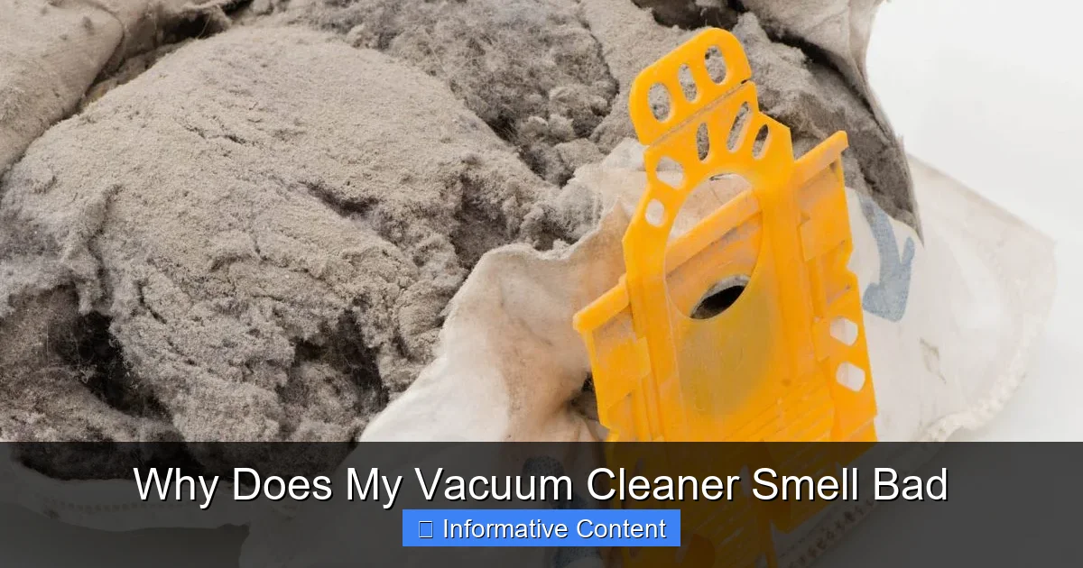 Why Does My Vacuum Cleaner Smell Bad