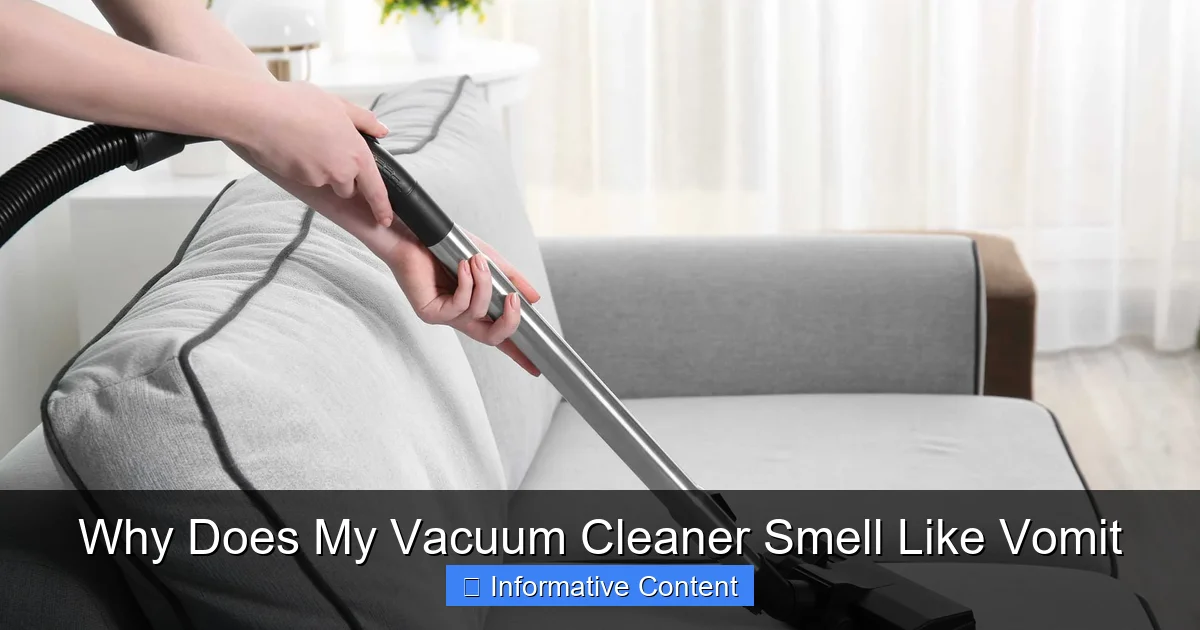 Why Does My Vacuum Cleaner Smell Like Vomit