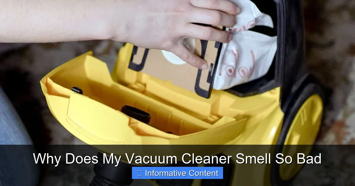 Why Does My Vacuum Cleaner Smell So Bad