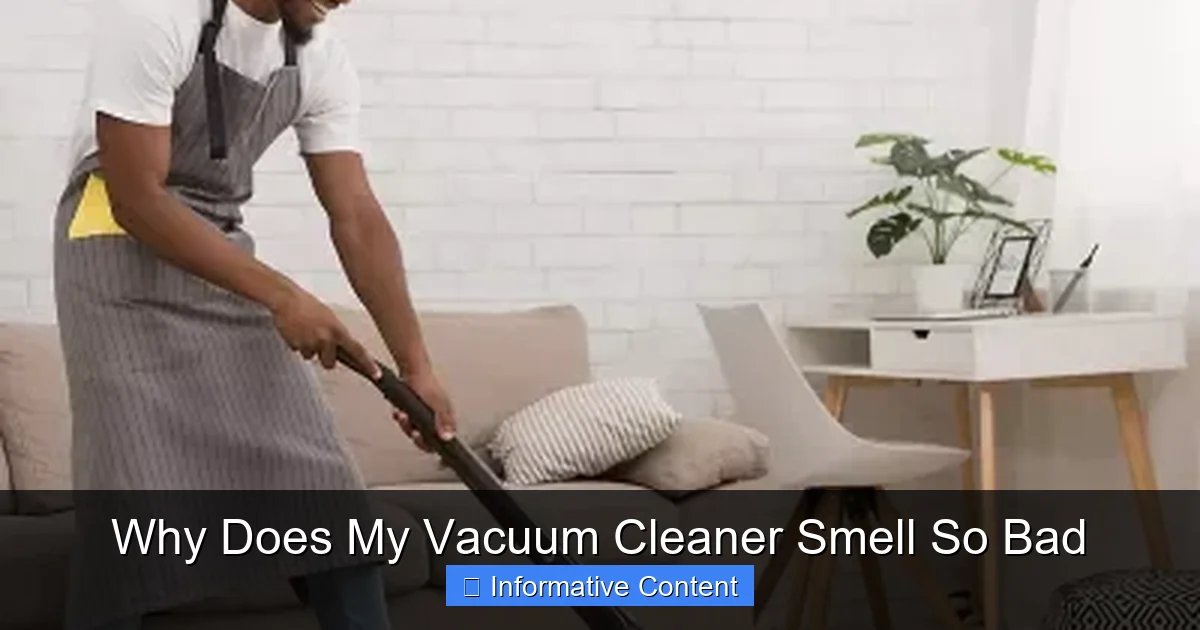 Why Does My Vacuum Cleaner Smell So Bad