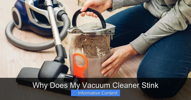 Why Does My Vacuum Cleaner Stink