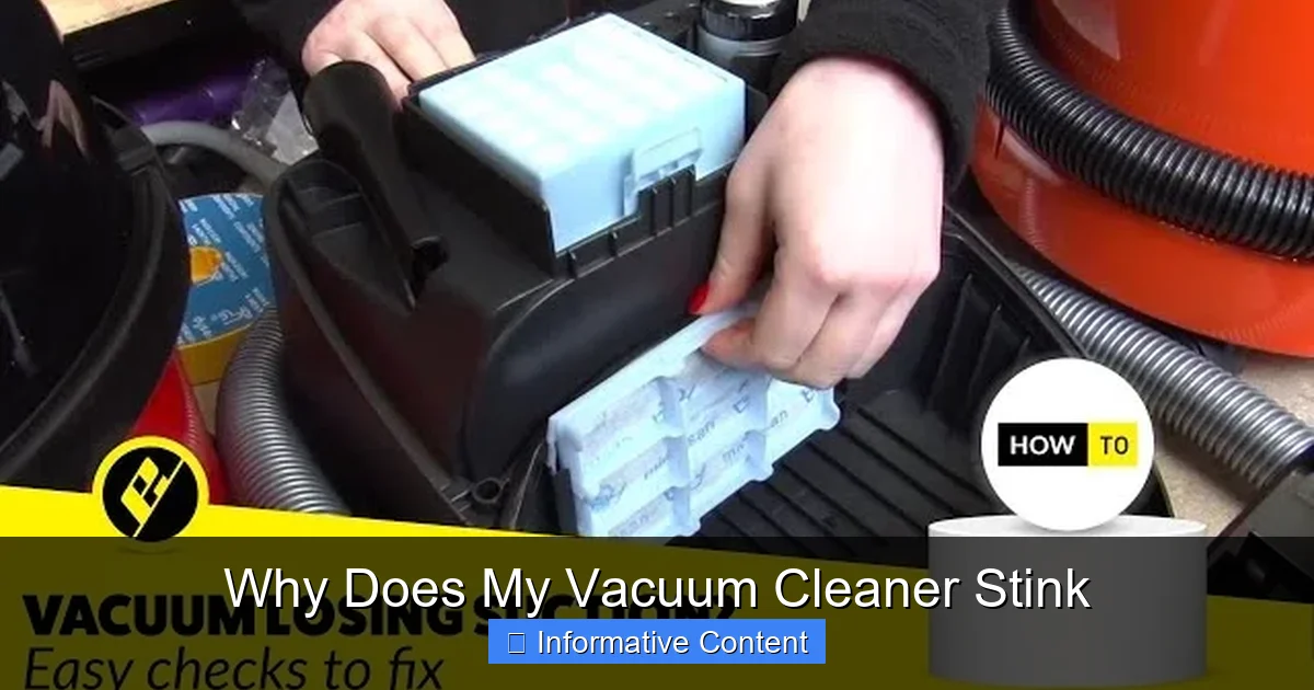 Why Does My Vacuum Cleaner Stink