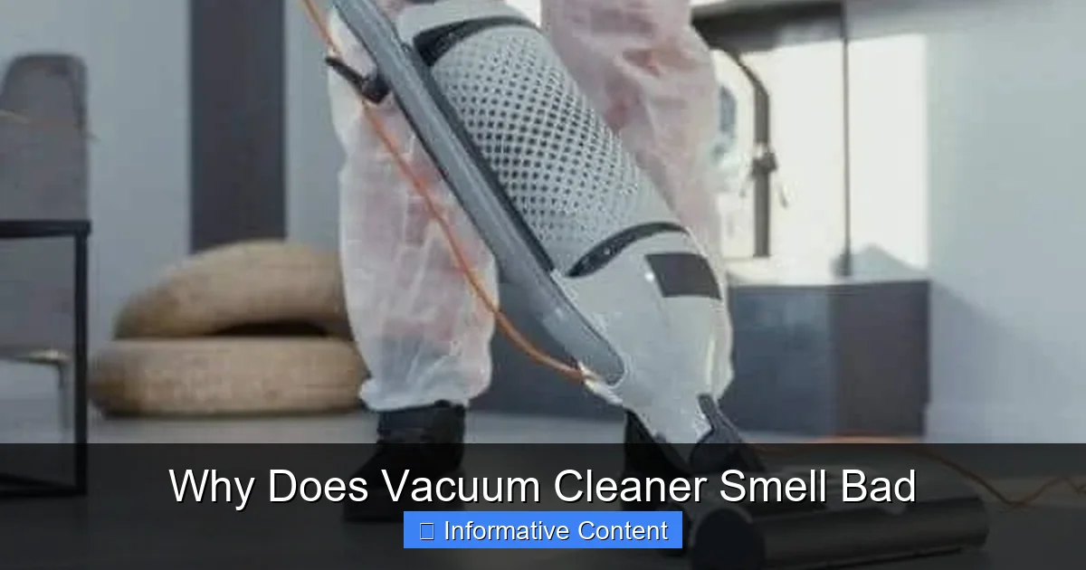 Why Does Vacuum Cleaner Smell Bad