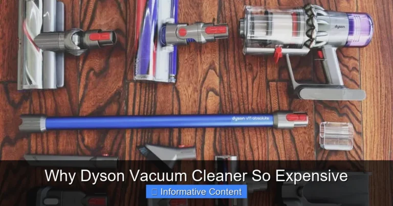 Why Dyson Vacuum Cleaner So Expensive