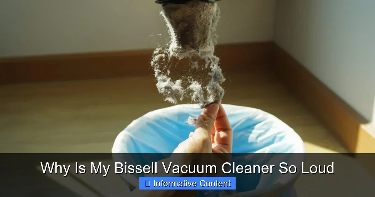 Why Is My Bissell Vacuum Cleaner So Loud