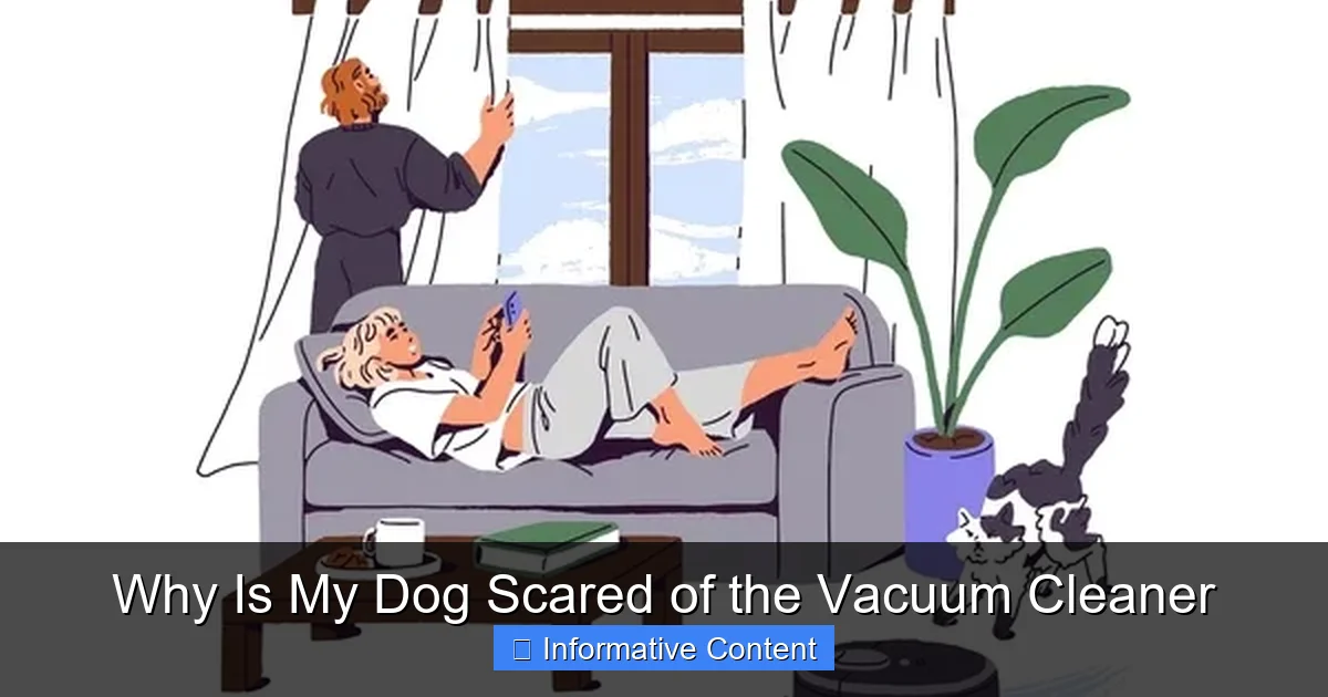 Why Is My Dog Scared of the Vacuum Cleaner