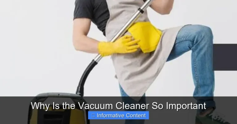 Why Is the Vacuum Cleaner So Important