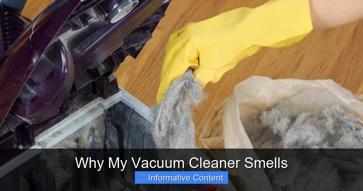 Why My Vacuum Cleaner Smells