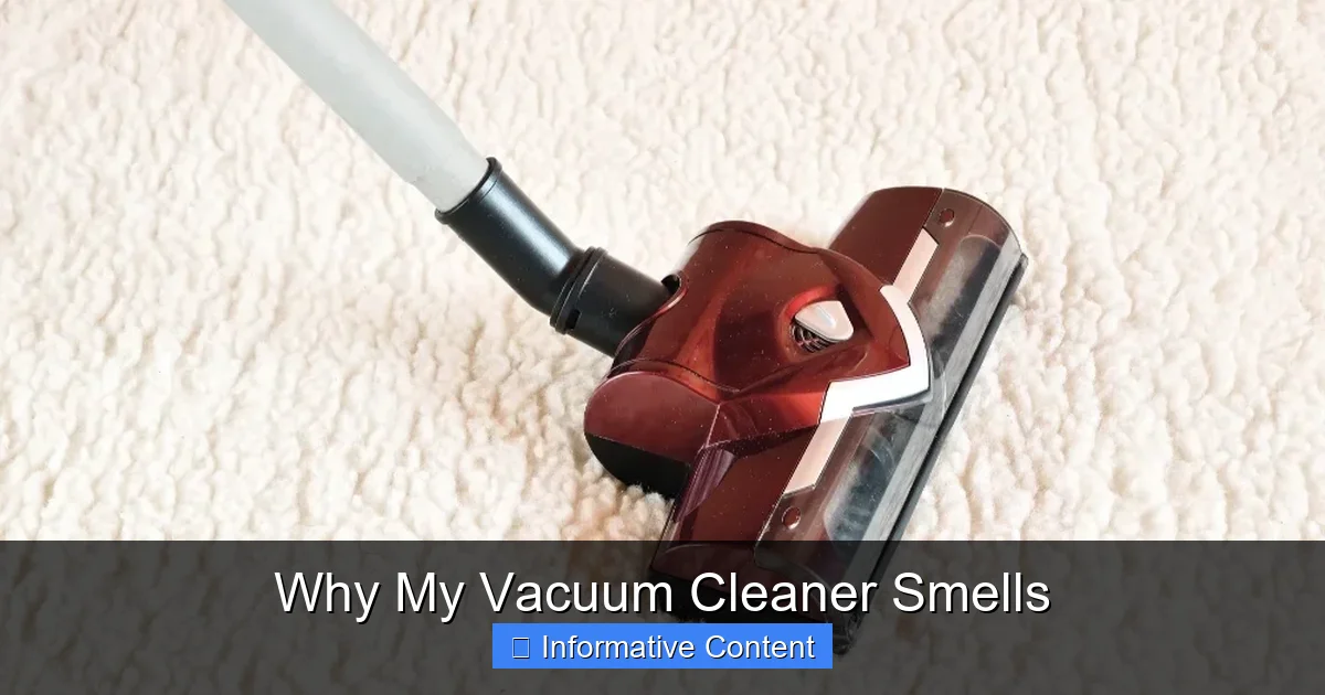 Why My Vacuum Cleaner Smells