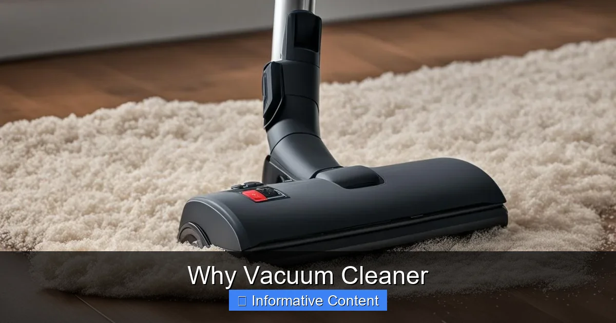 Why Vacuum Cleaner