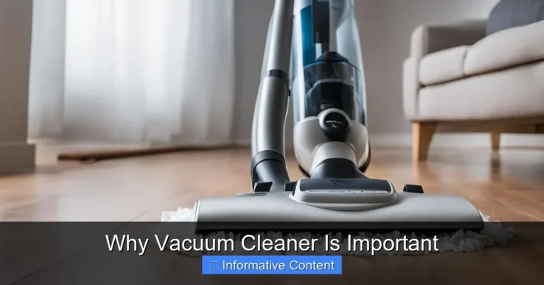 Why Vacuum Cleaner Is Important