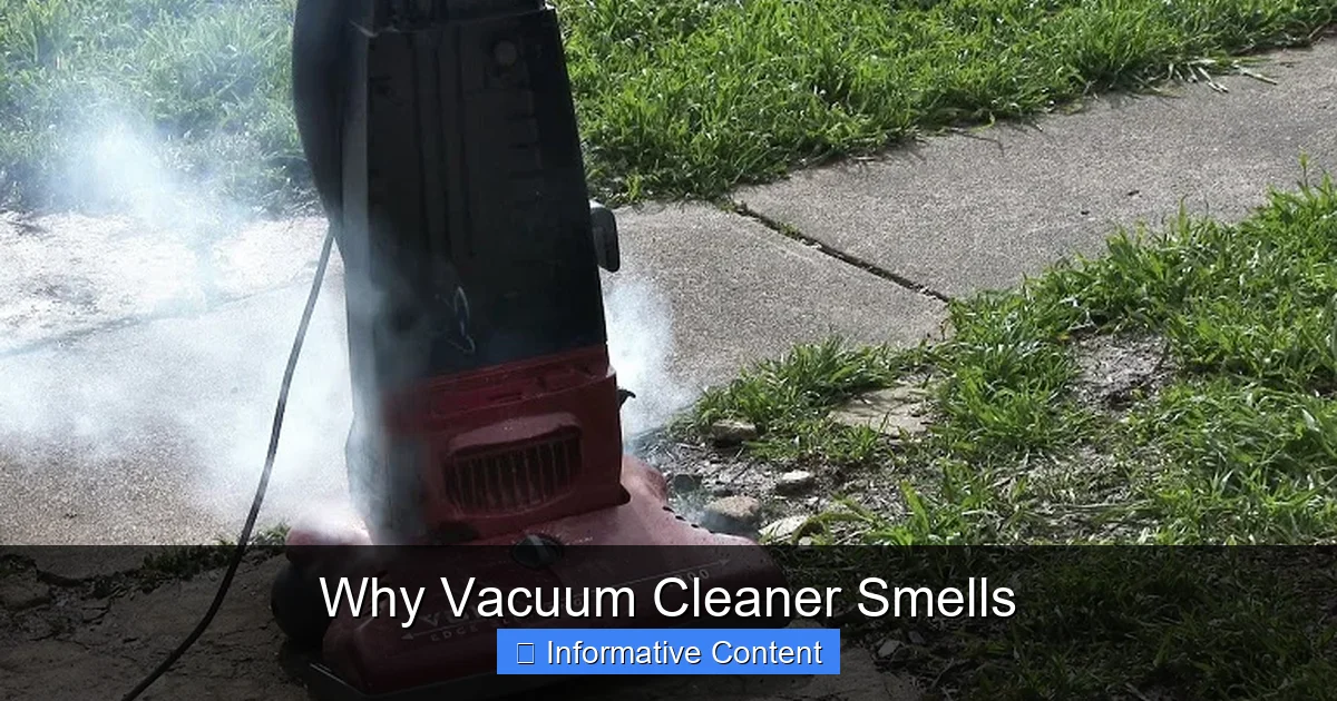 Why Vacuum Cleaner Smells