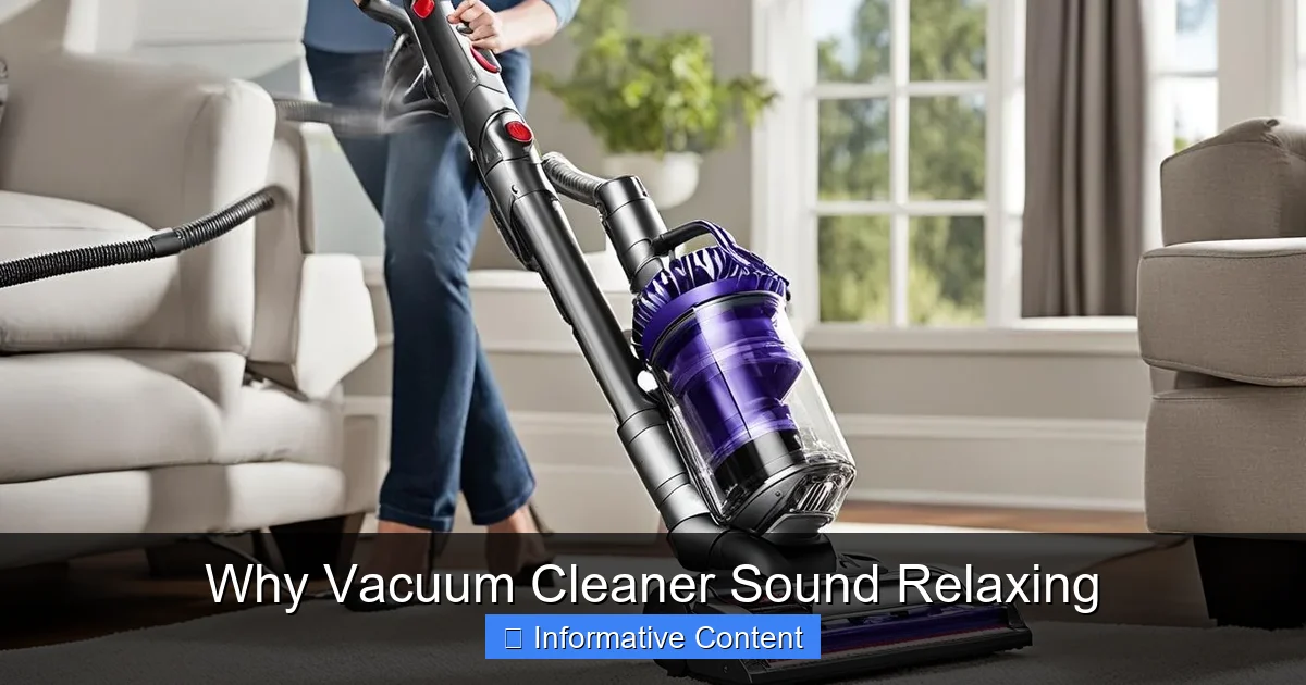 Why Vacuum Cleaner Sound Relaxing