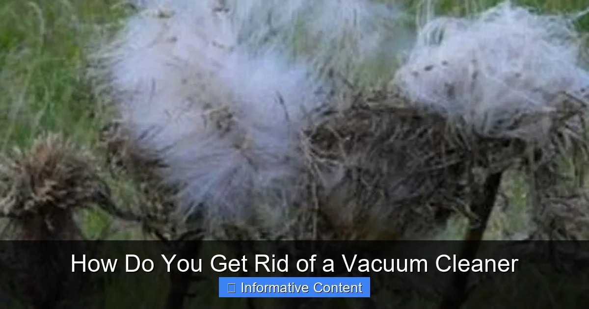 How Do You Get Rid of a Vacuum Cleaner