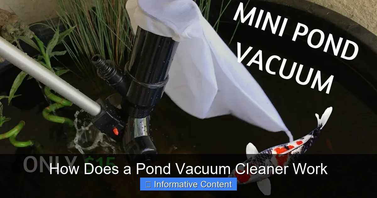 How Does a Pond Vacuum Cleaner Work