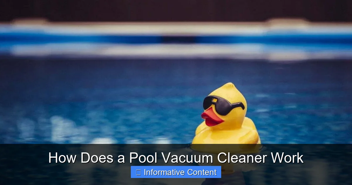 How Does a Pool Vacuum Cleaner Work