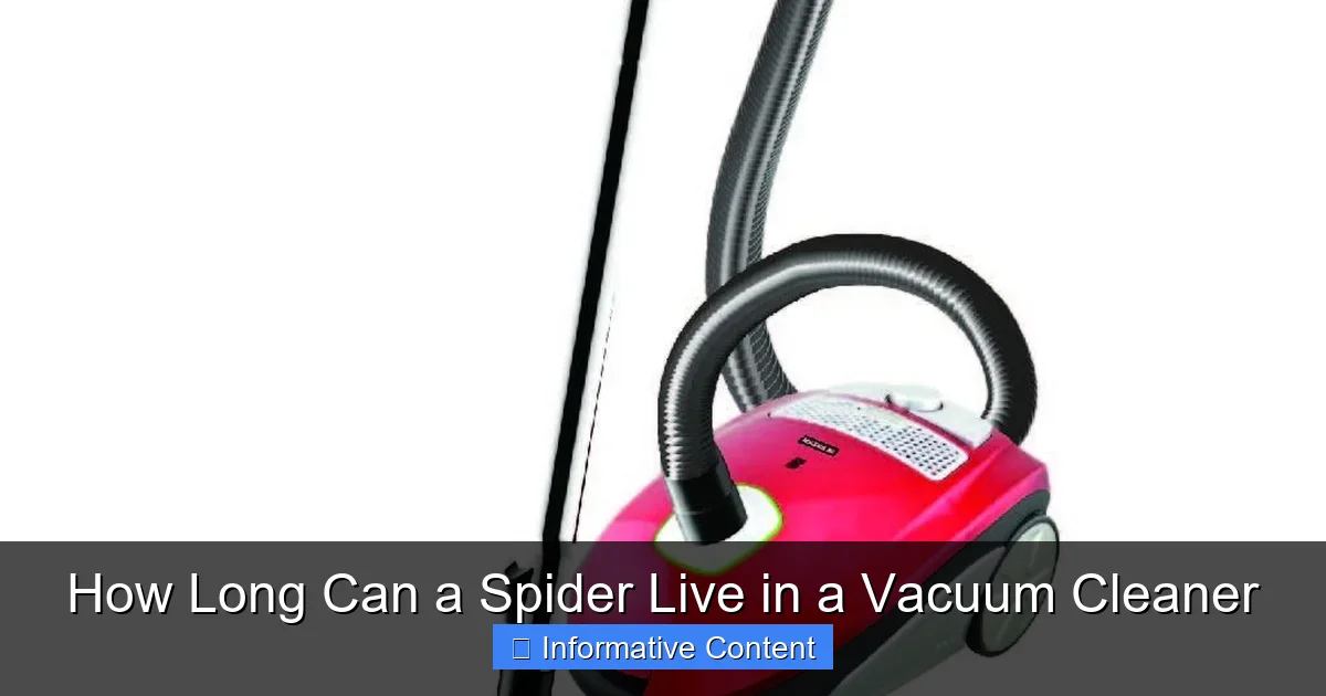 How Long Can a Spider Live in a Vacuum Cleaner