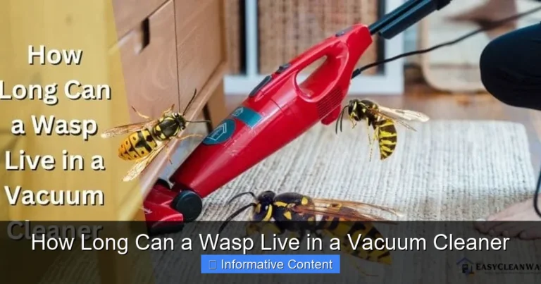 How Long Can a Wasp Live in a Vacuum Cleaner