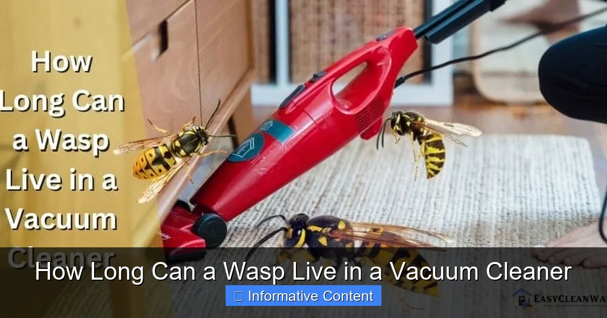 How Long Can a Wasp Live in a Vacuum Cleaner