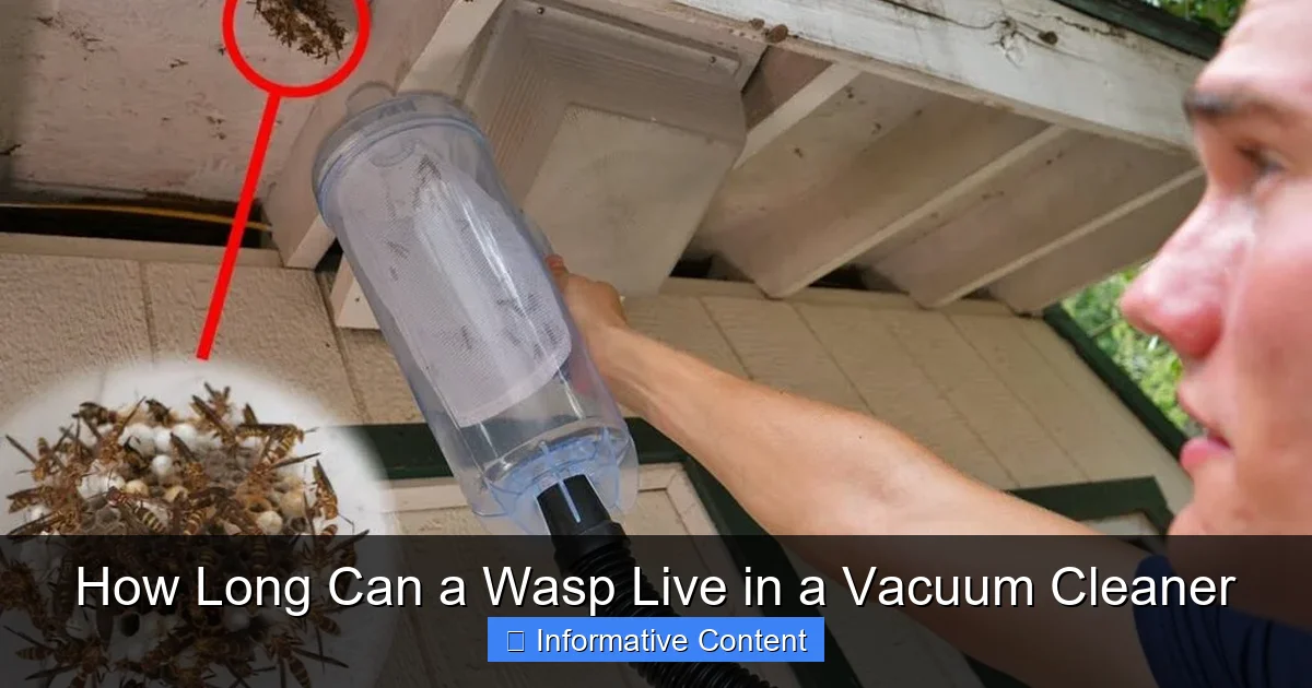 How Long Can a Wasp Live in a Vacuum Cleaner