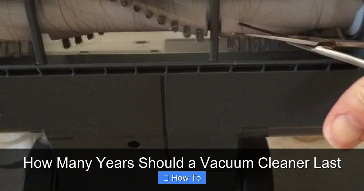 How Many Years Should a Vacuum Cleaner Last
