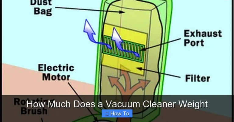 How Much Does a Vacuum Cleaner Weight