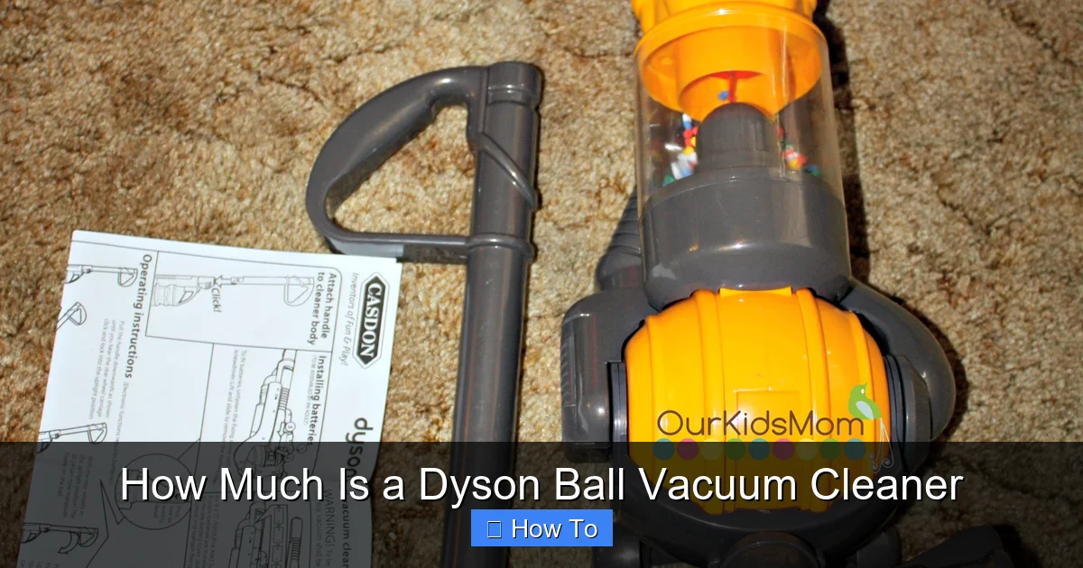 How Much Is a Dyson Ball Vacuum Cleaner