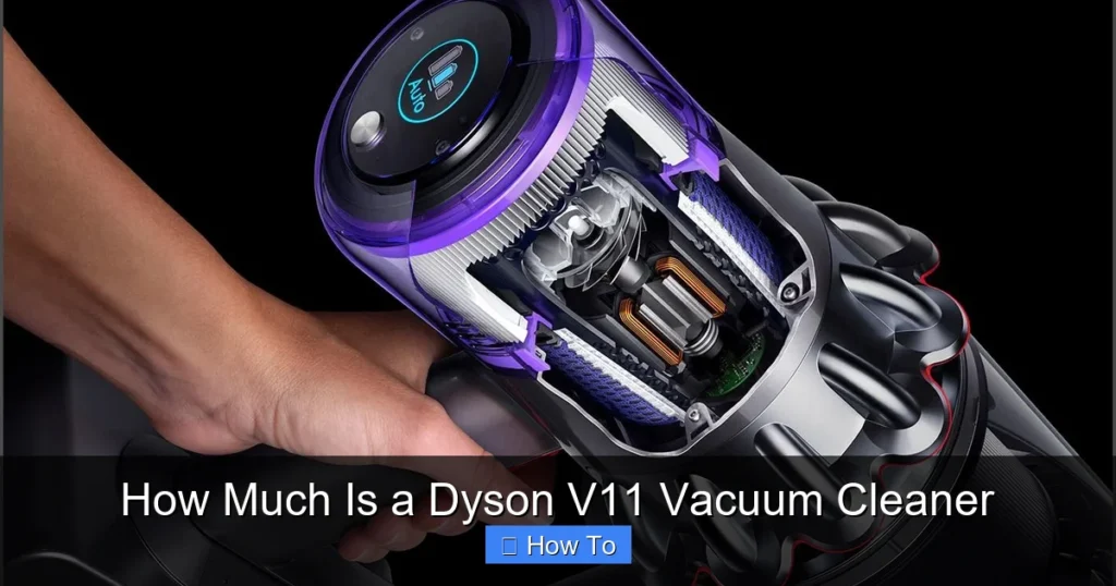 How Much Is a Dyson V11 Vacuum Cleaner
