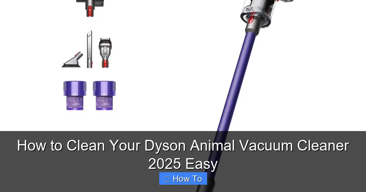 How to Clean Your Dyson Animal Vacuum Cleaner 2025 Easy