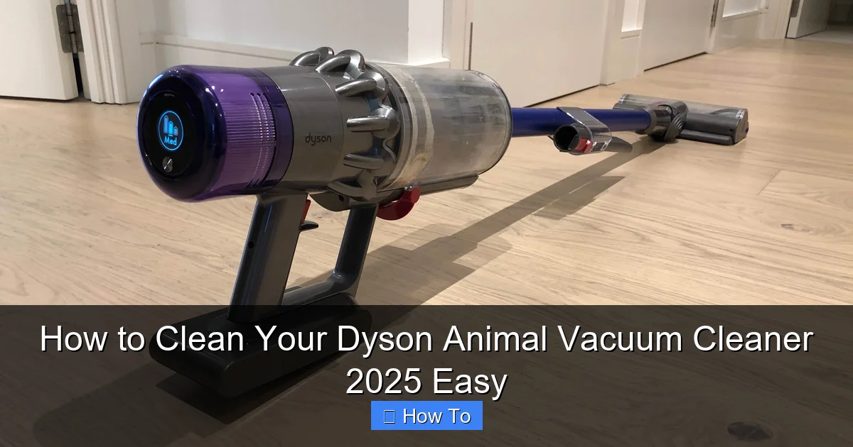 How to Clean Your Dyson Animal Vacuum Cleaner 2025 Easy